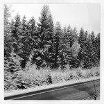 Neråt landet var det vinter!