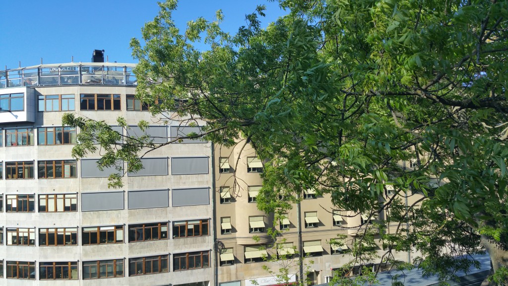 Sommaren är nog här nu!