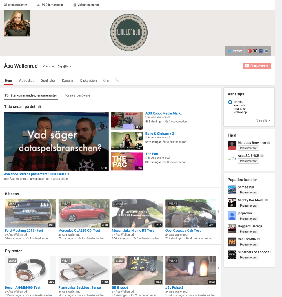 Hetast på Youtube 2015