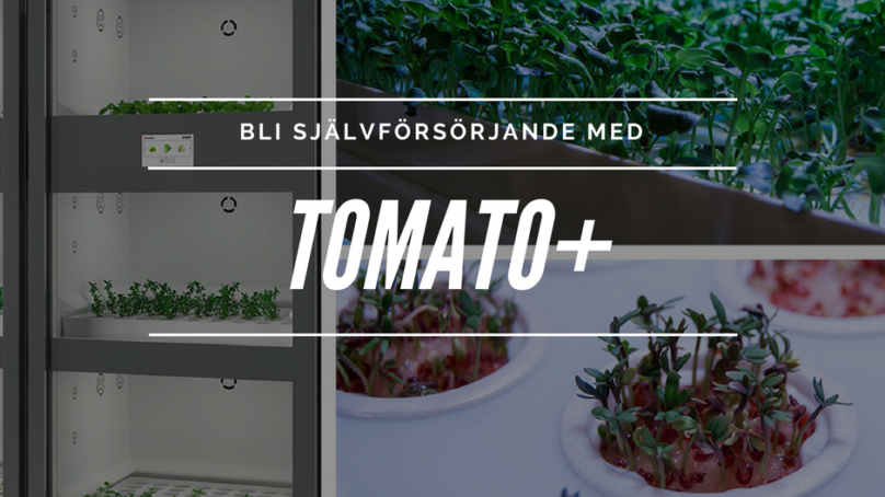 Tomato+ – kan göra dig självförsörjande i köket