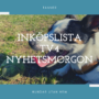 Inköpslista TV4 Nyhetsmorgon – Hundprylar