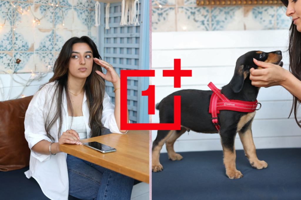 Stressad? Älskar du också hundvalpar? Kolla då in det här…