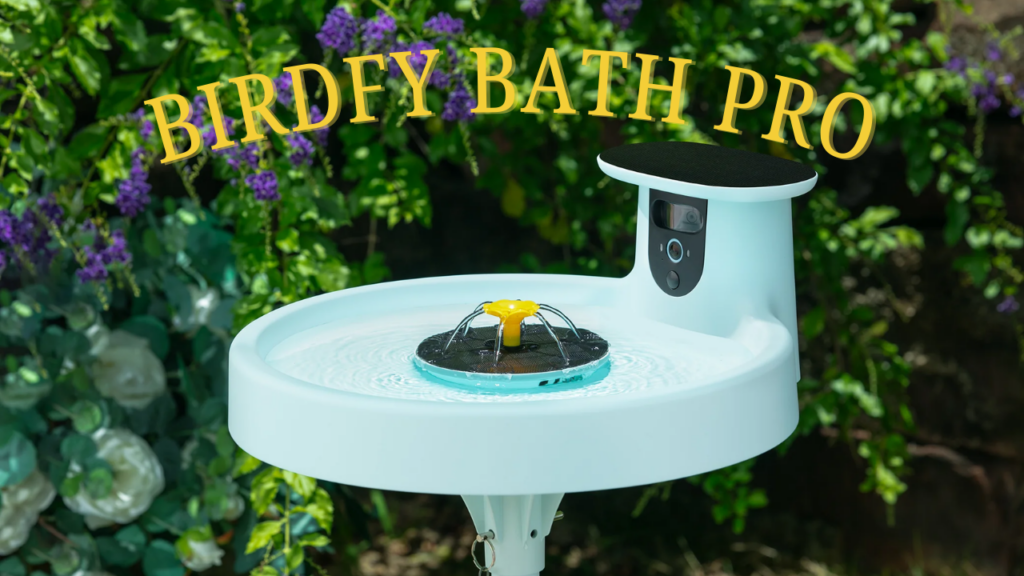 Glöm fågelmataren – nu är det smarta fågelbad som gäller!