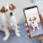 Hur funkar kameran i en mobil och varför är det viktigt med chips?